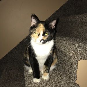 Meet your Posher, Colleen